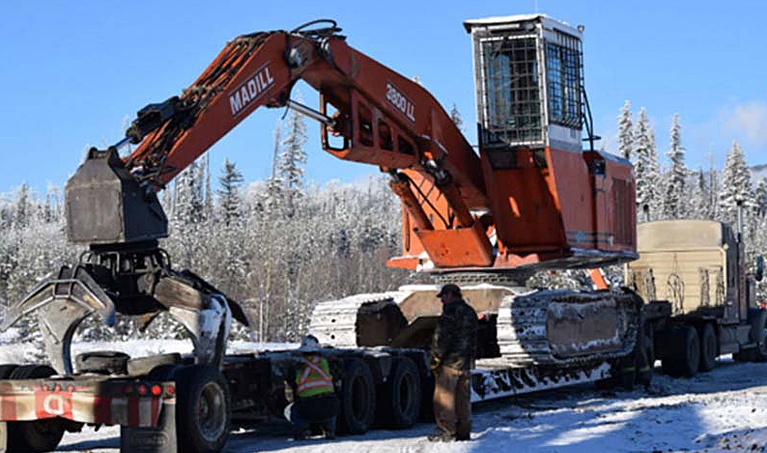 truck and feller buncher