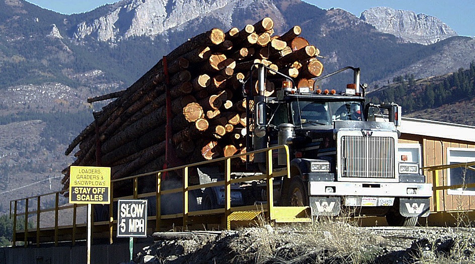 Logging Truck